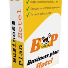 Business plan pronto Hotel