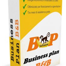 business plan pronto per un B&B