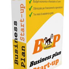 software business plan start up