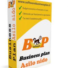 Business plan asilo nido
