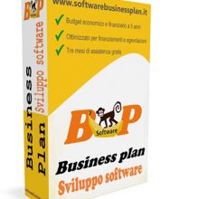 Business plan sviluppo software