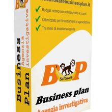 Business plan agenzia investigativa
