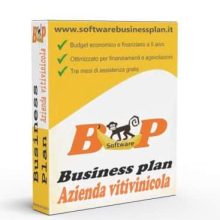 software business plan Azienda vitivinicola